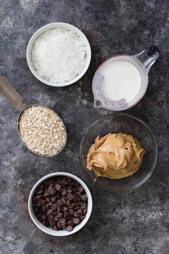 Chocolate Peanut Butter Oatmeal Balls with Coconut All the ingredients for chocolate peanut butter balls with coconut set on a counter top.