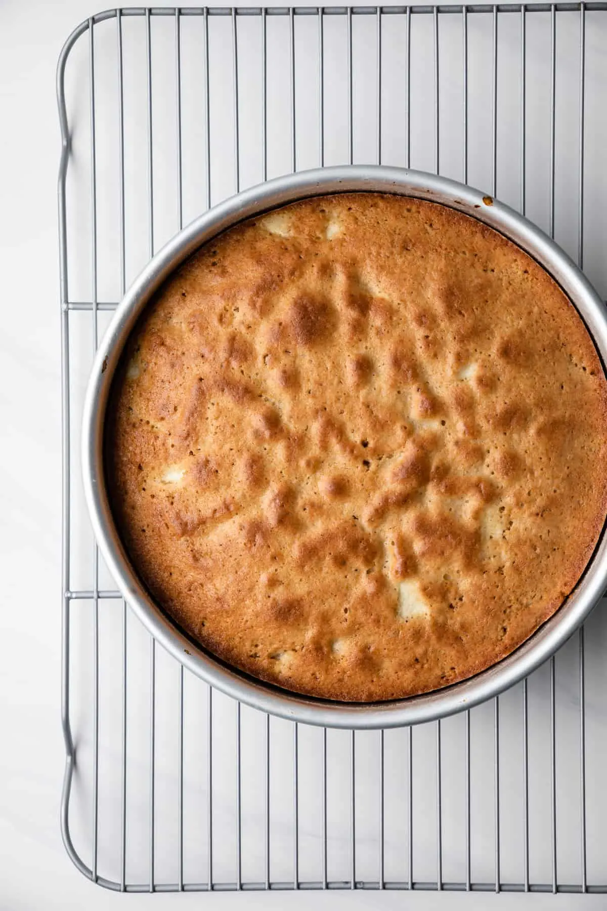 Apple cake in a round pan just removed from the oven