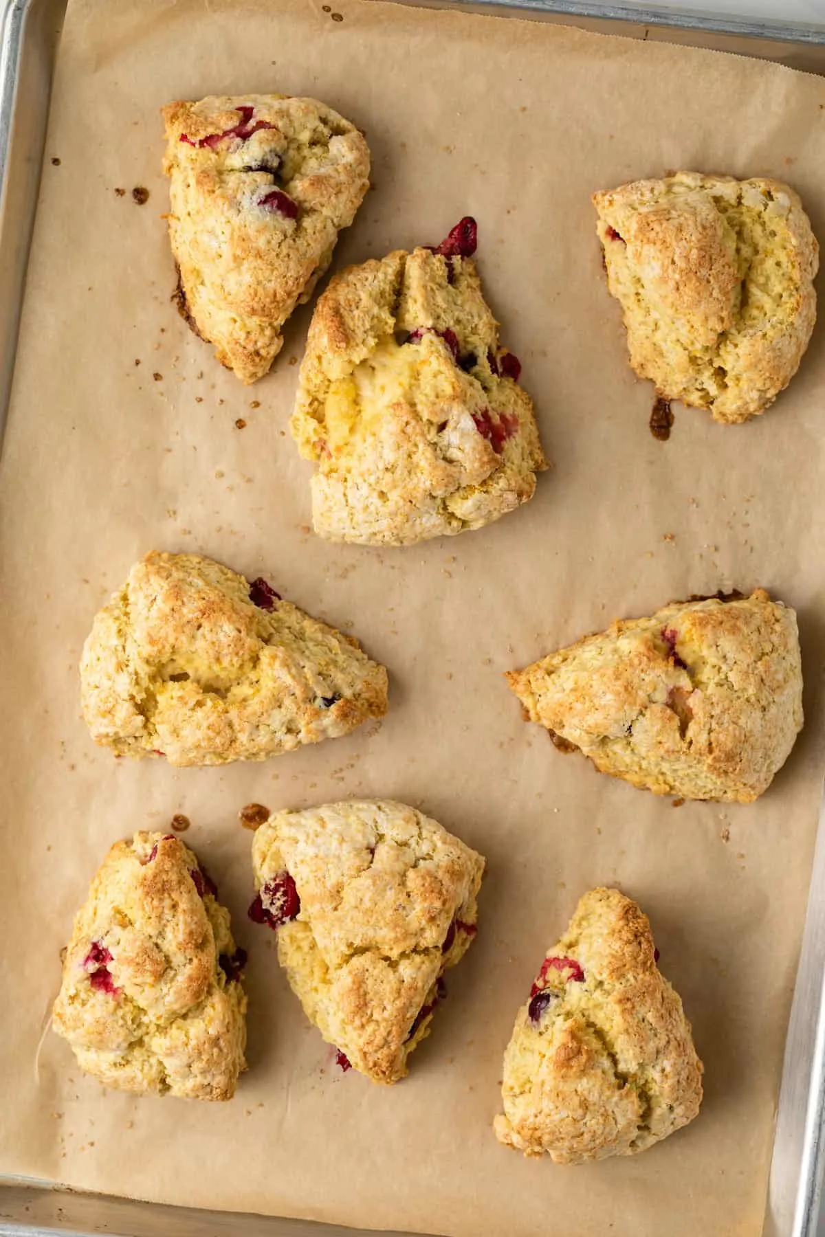 Cranberry orange scones on a baking sheet