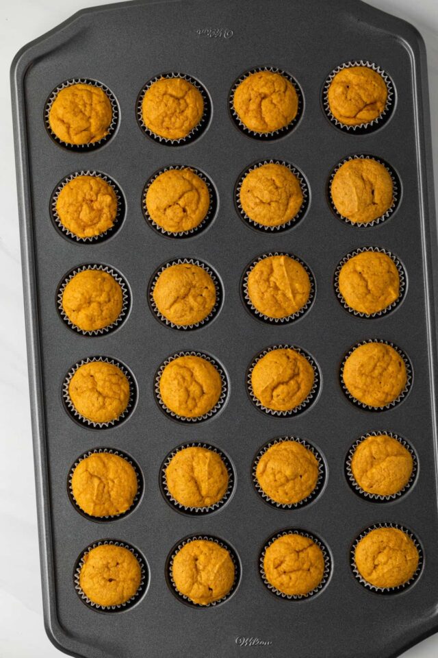 Mini pumpkin ginger cupcakes in a muffin tin