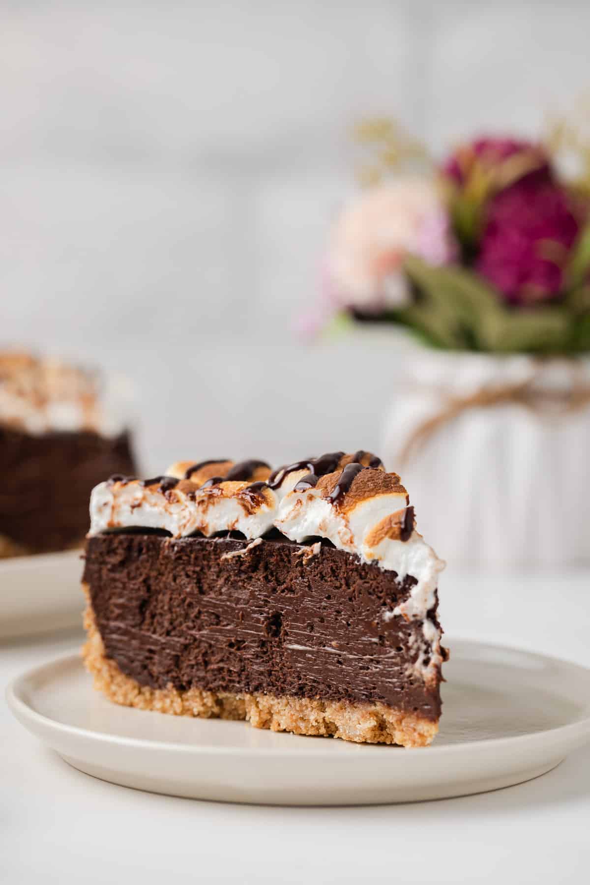 Side view of slice of s'mores cheesecake.