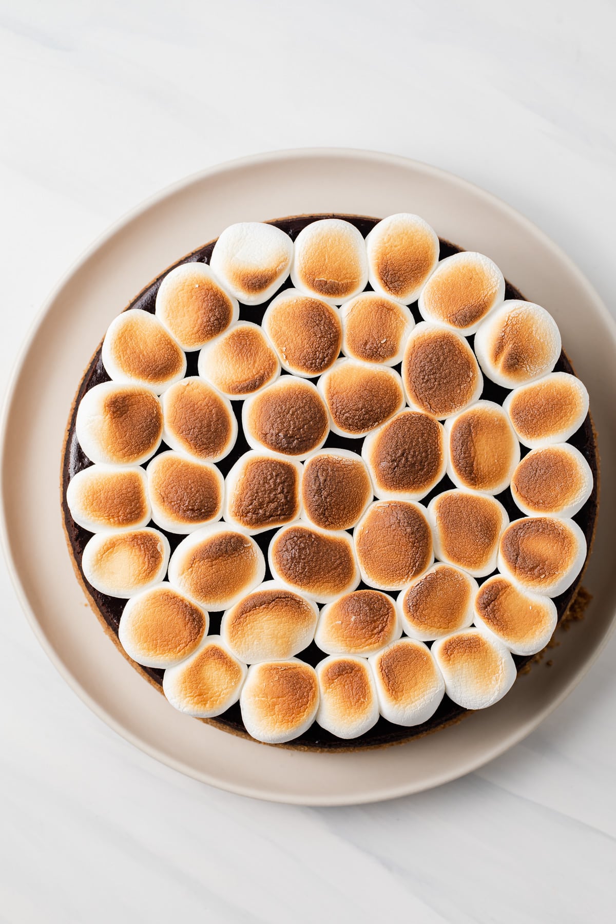 Toasted marshmallows on s'mores cheesecake.