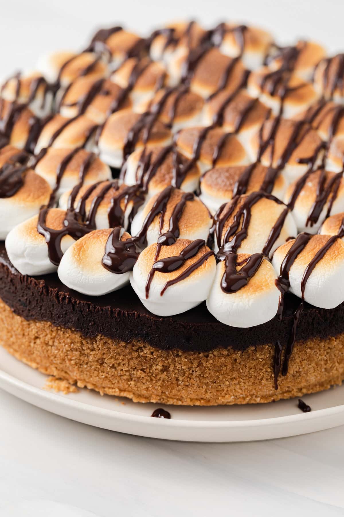 Close up of s'mores cheesecake.