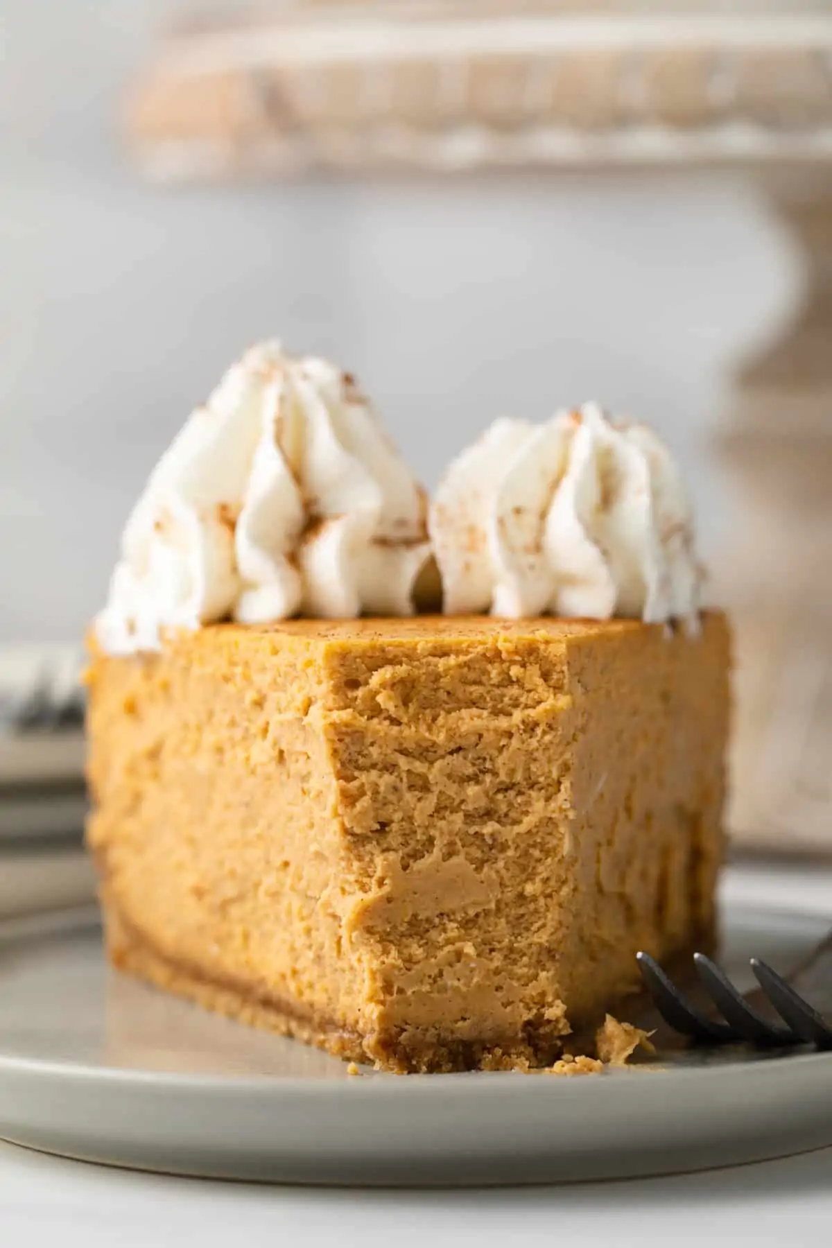 Close up view of a slice of Pumpkin Cheesecake on a plate.