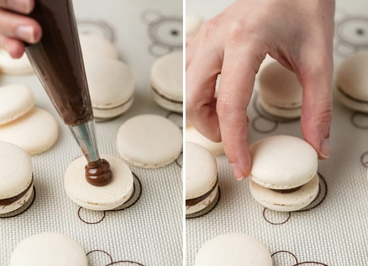 process shots for filling french macarons