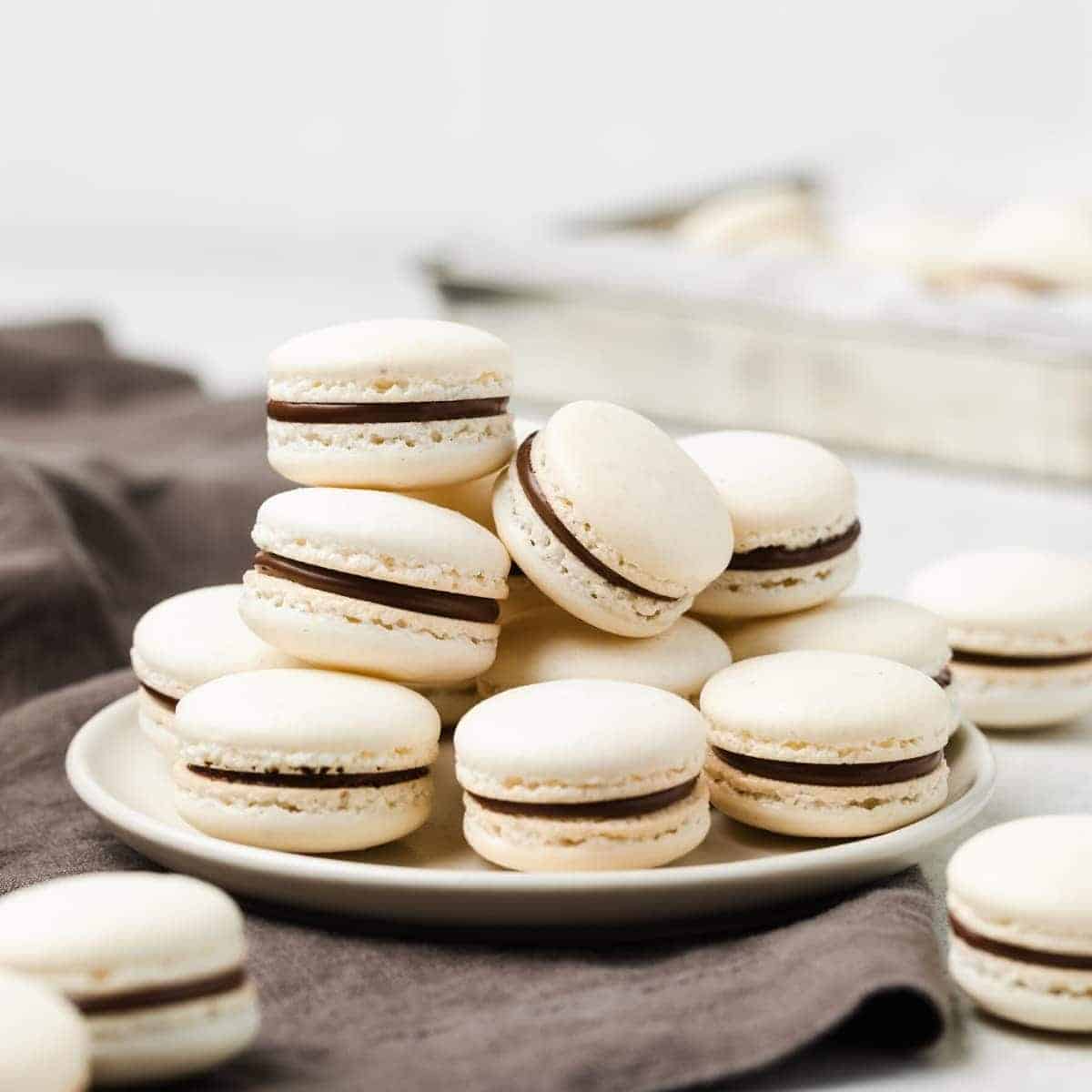 Macaroon or macaron