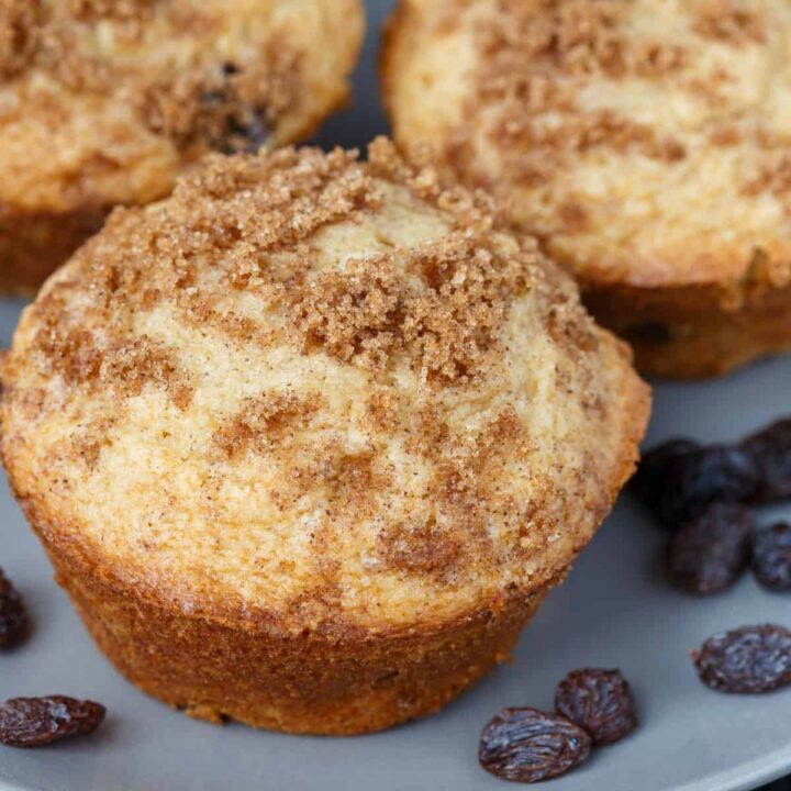 Three cinnamon raisin muffins on a gray plate.