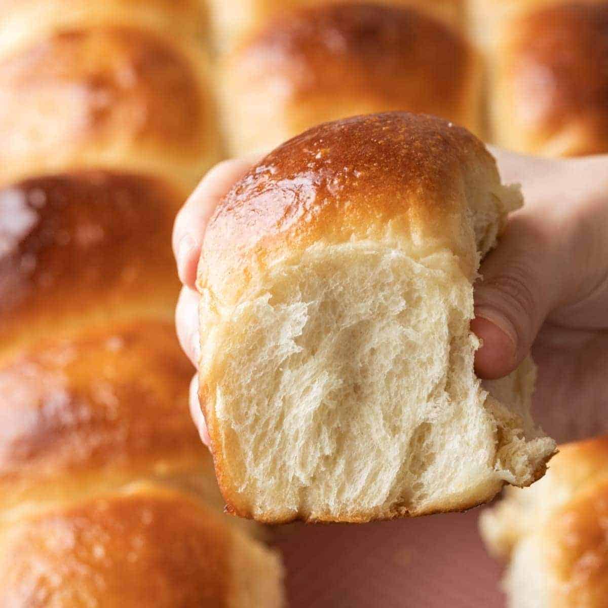 hand holding a Hawaiian Sweet Roll so the fluffy side is visible