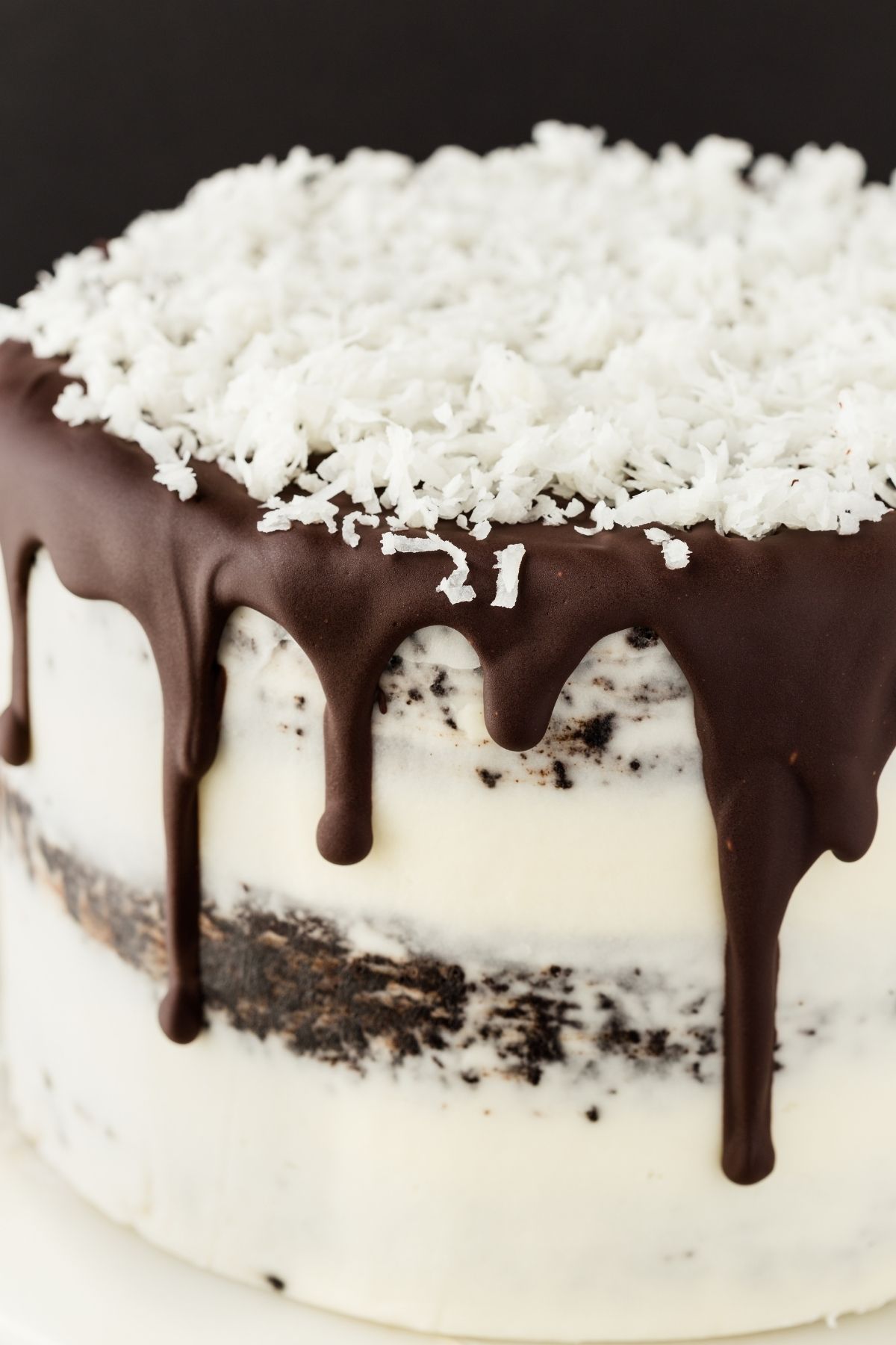 Up close view of chocolate coconut cake.