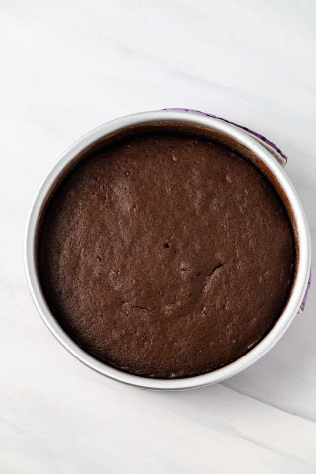 Freshly baked chocolate cake in a round pan