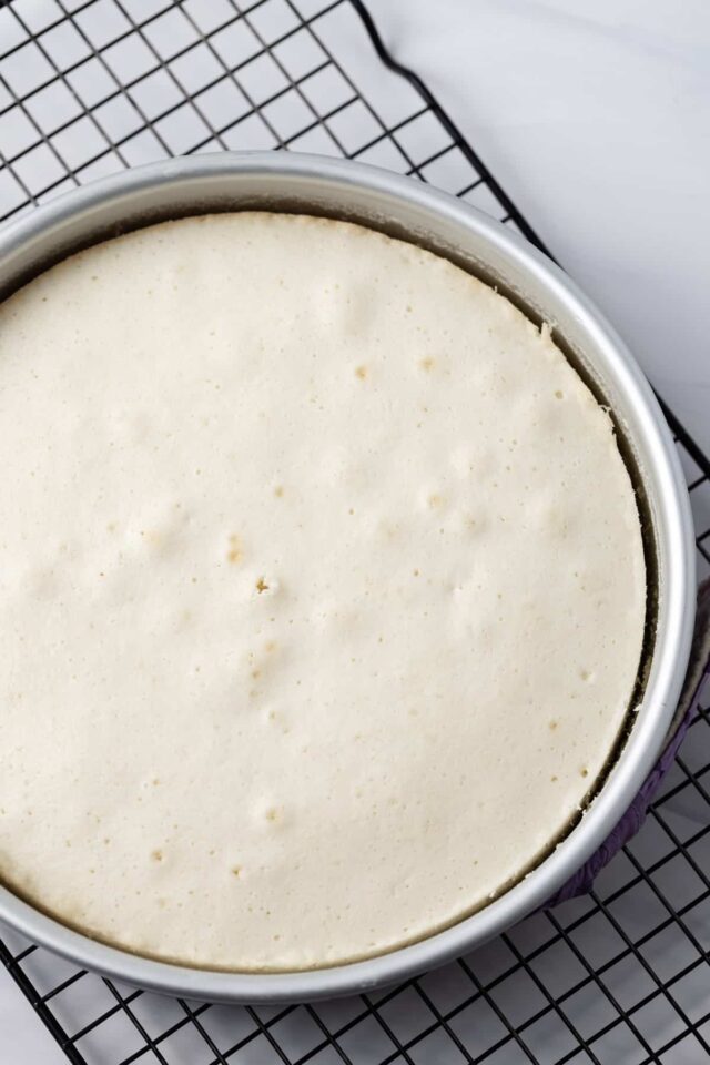 Freshly baked white cake in a round pan