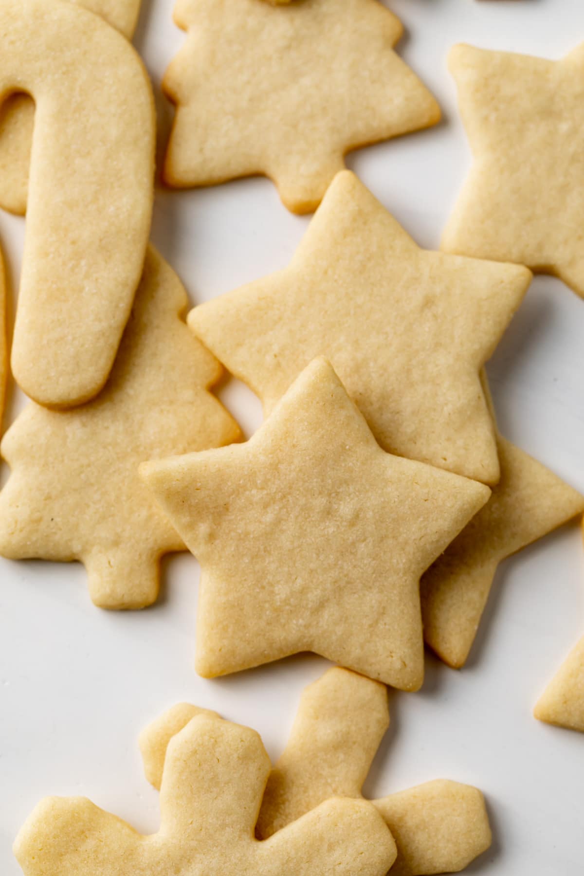 close up of classic sugar cookies cut out in stars, candy canes, Christmas trees