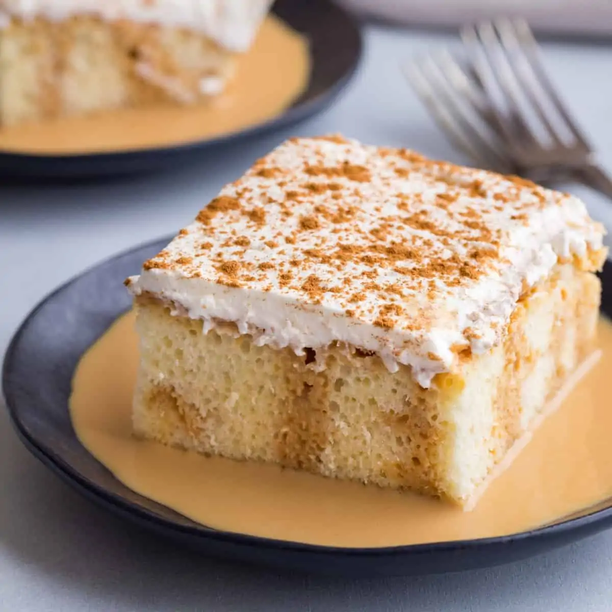 Tres Leches Cake (Milk Cake) | Baked by an Introvert®