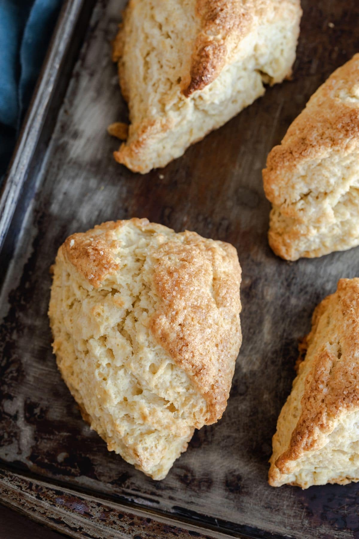 Soft scones on a baking sheet.