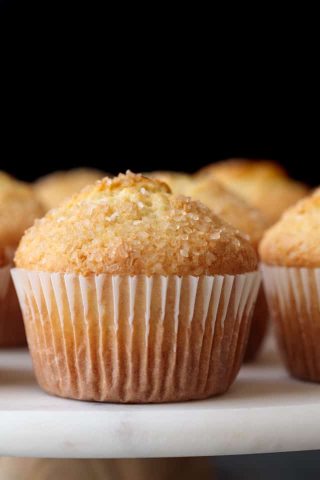 close up of a basic muffin