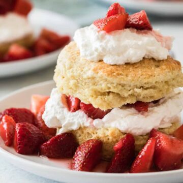 side view of strawberry shortcake on a white plate