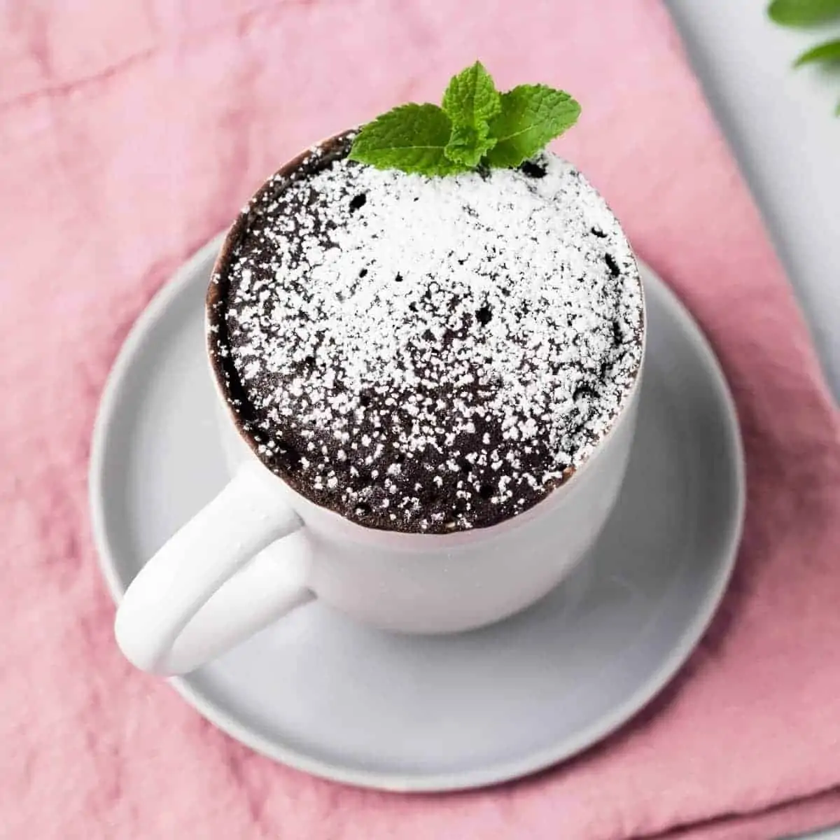 Perfect Chocolate Mug Cake