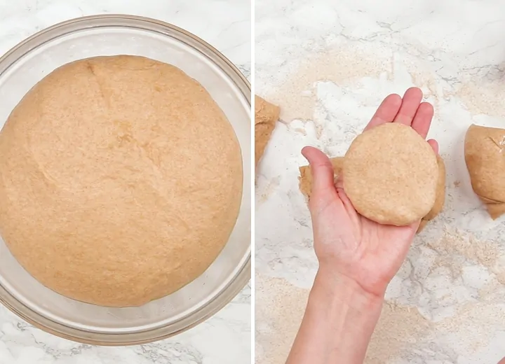 100% whole wheat English muffin dough