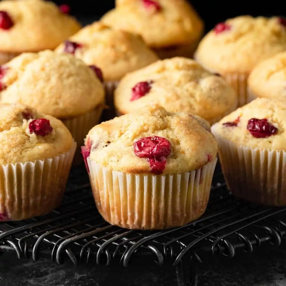 Cranberry Orange Muffins