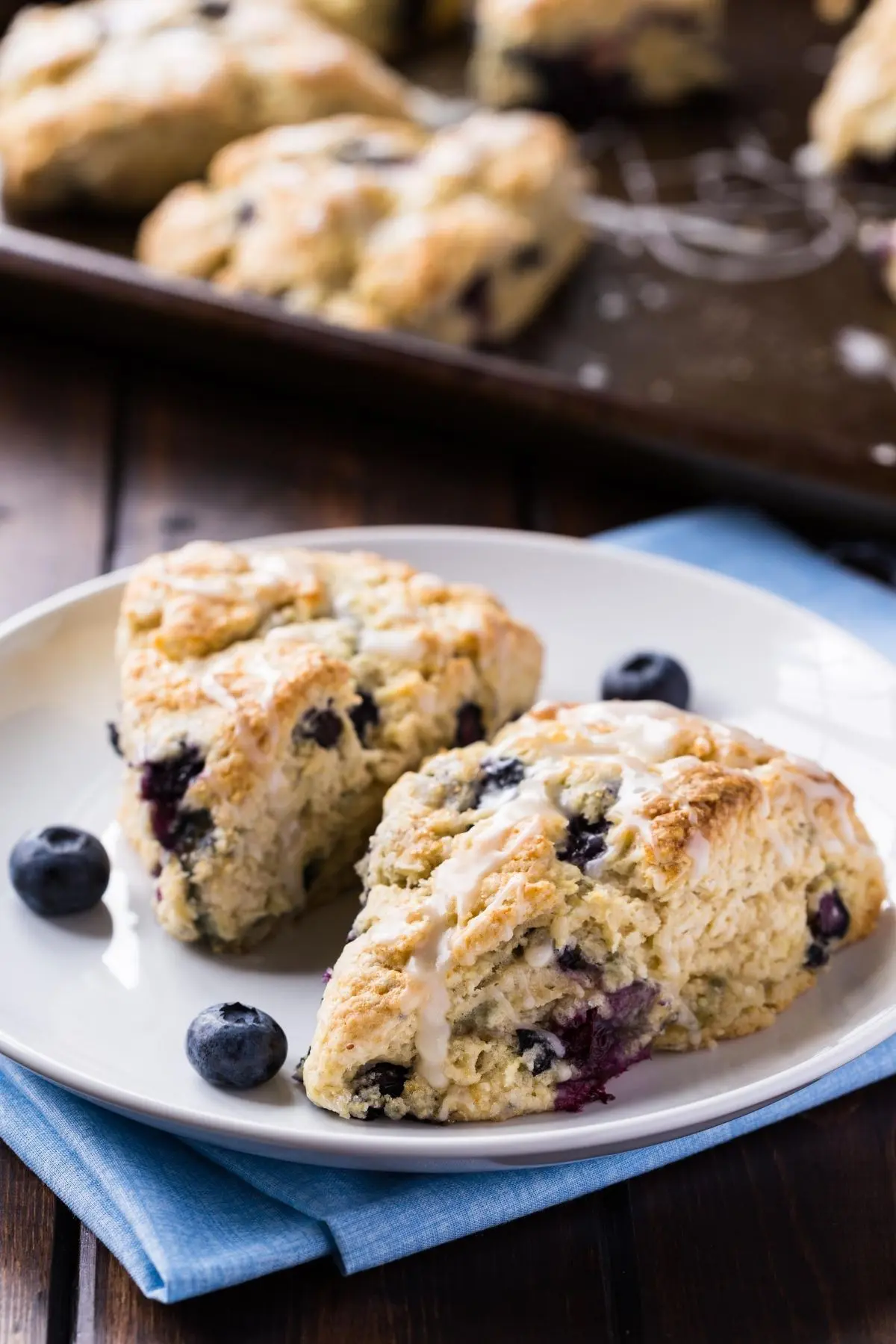 two blueberry scones on a white plate over a blue napkin with a baking sheet of scones in the background