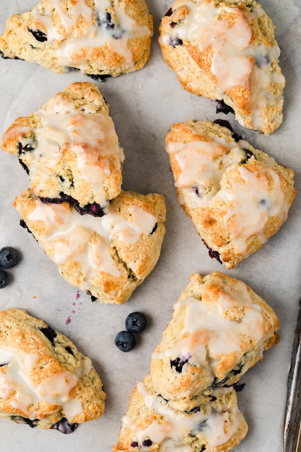 overhead view of blueberry scones scattered on a baking sheet with fresh blueberries