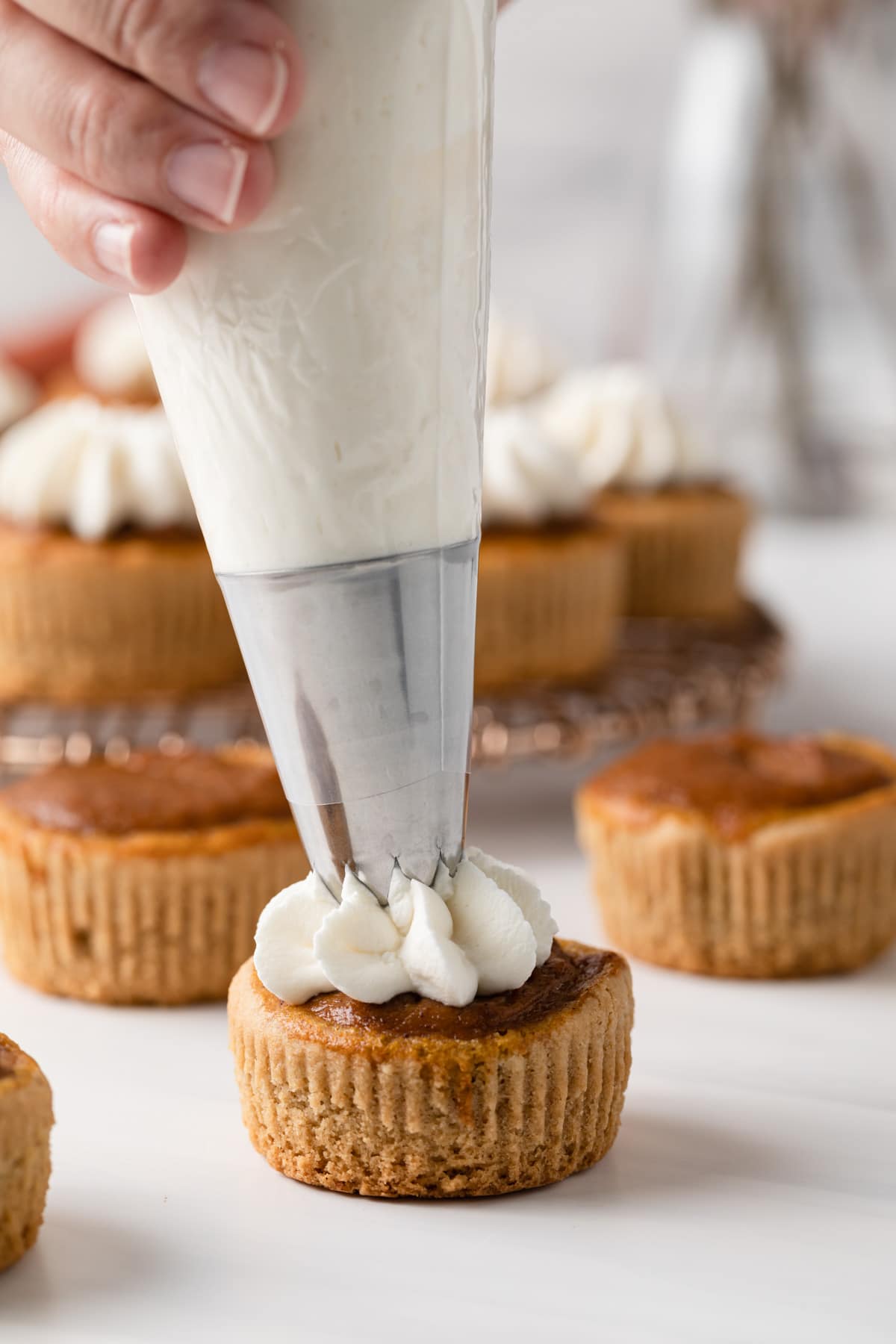 whipped cream being piped on mini pumpkin pie