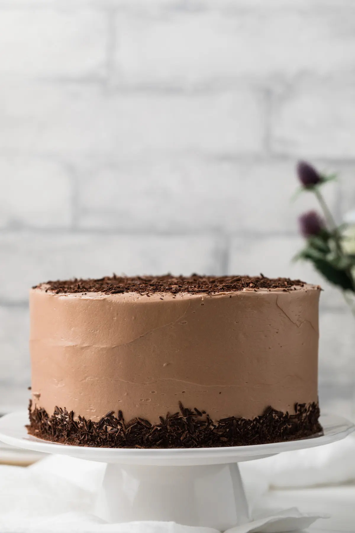Nutella cake with Nutella frosting on white cake stand