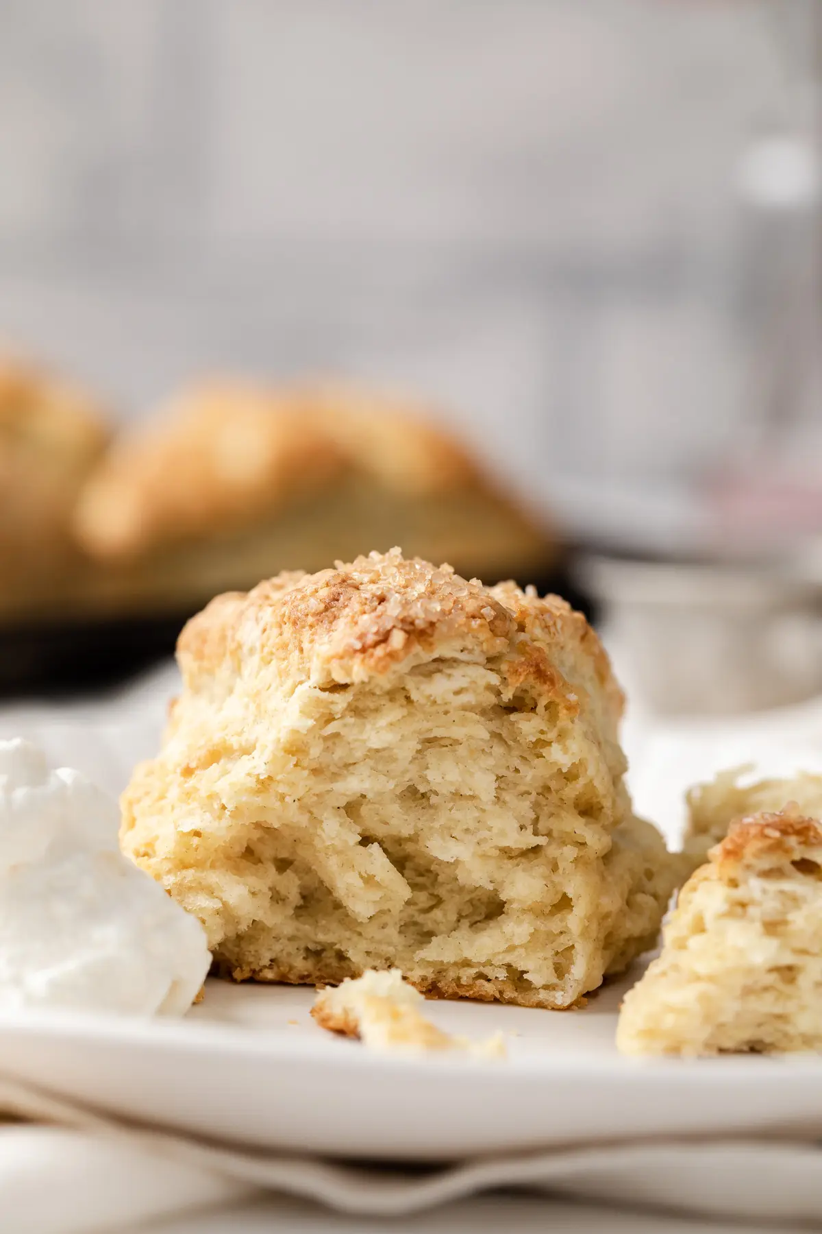 broken vanilla cardamom scone on plate with the insides visible