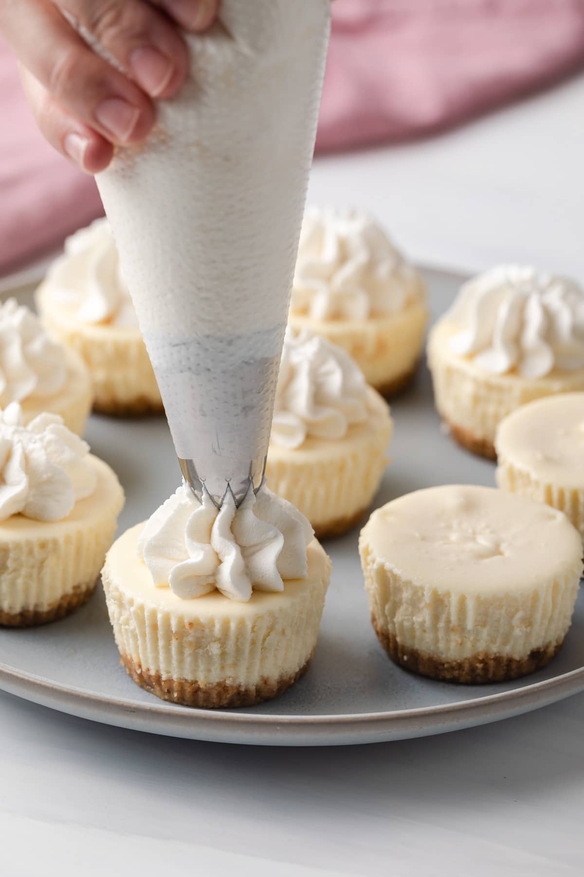 whipped cream being piped over mini cheesecakes