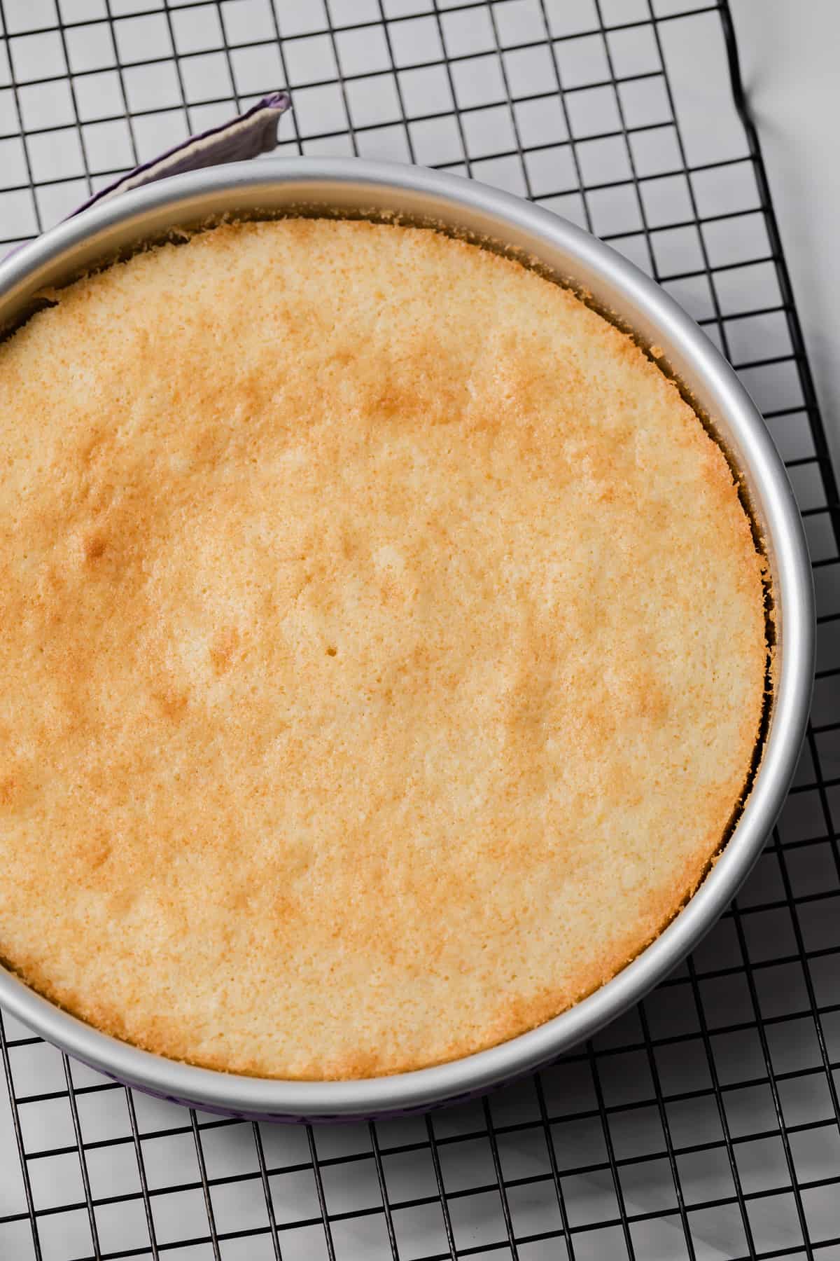 baked lemon cake layer in round cake pan