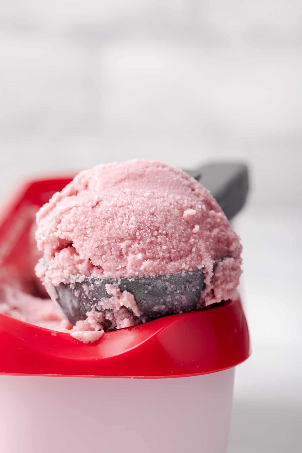 Side view of watermelon sorbet scooped into ice cream scoop.