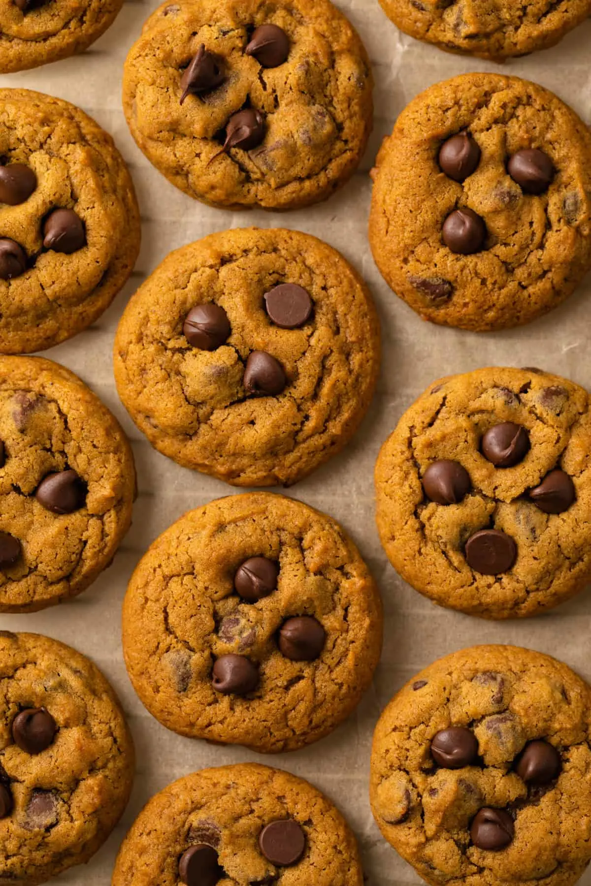 Overhead view of pumpkin chocolate chip cookies