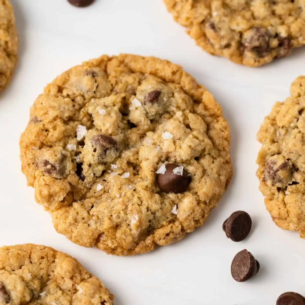 Oatmeal Chocolate Chip Cookies