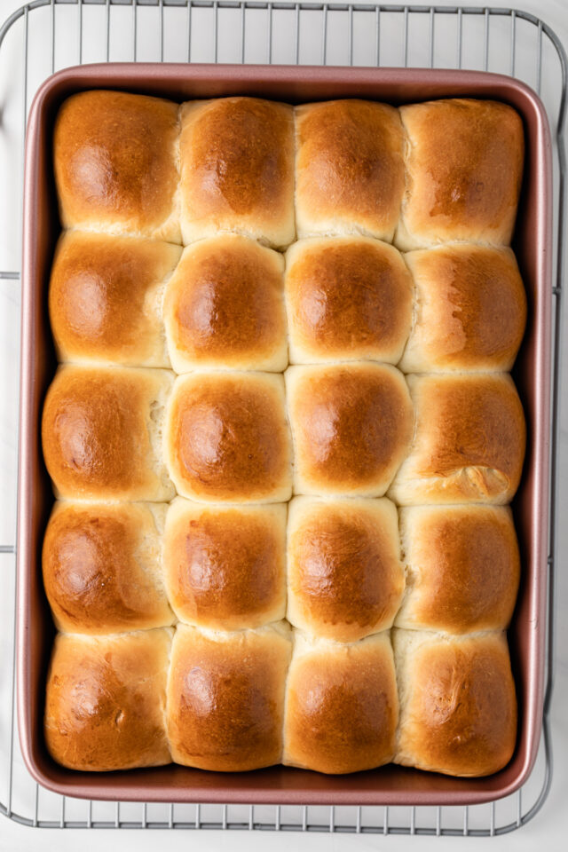 Freshly baked dinner rolls in a baking dish