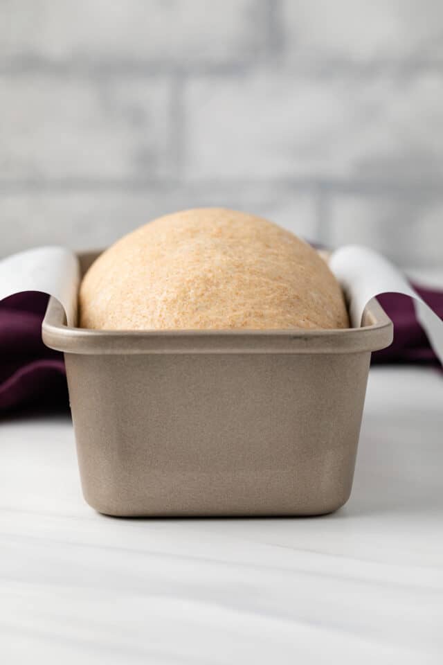 Unbaked whole wheat dough in loaf pan