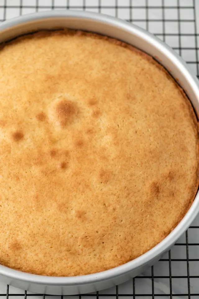 Baked cake layer in cake pan.