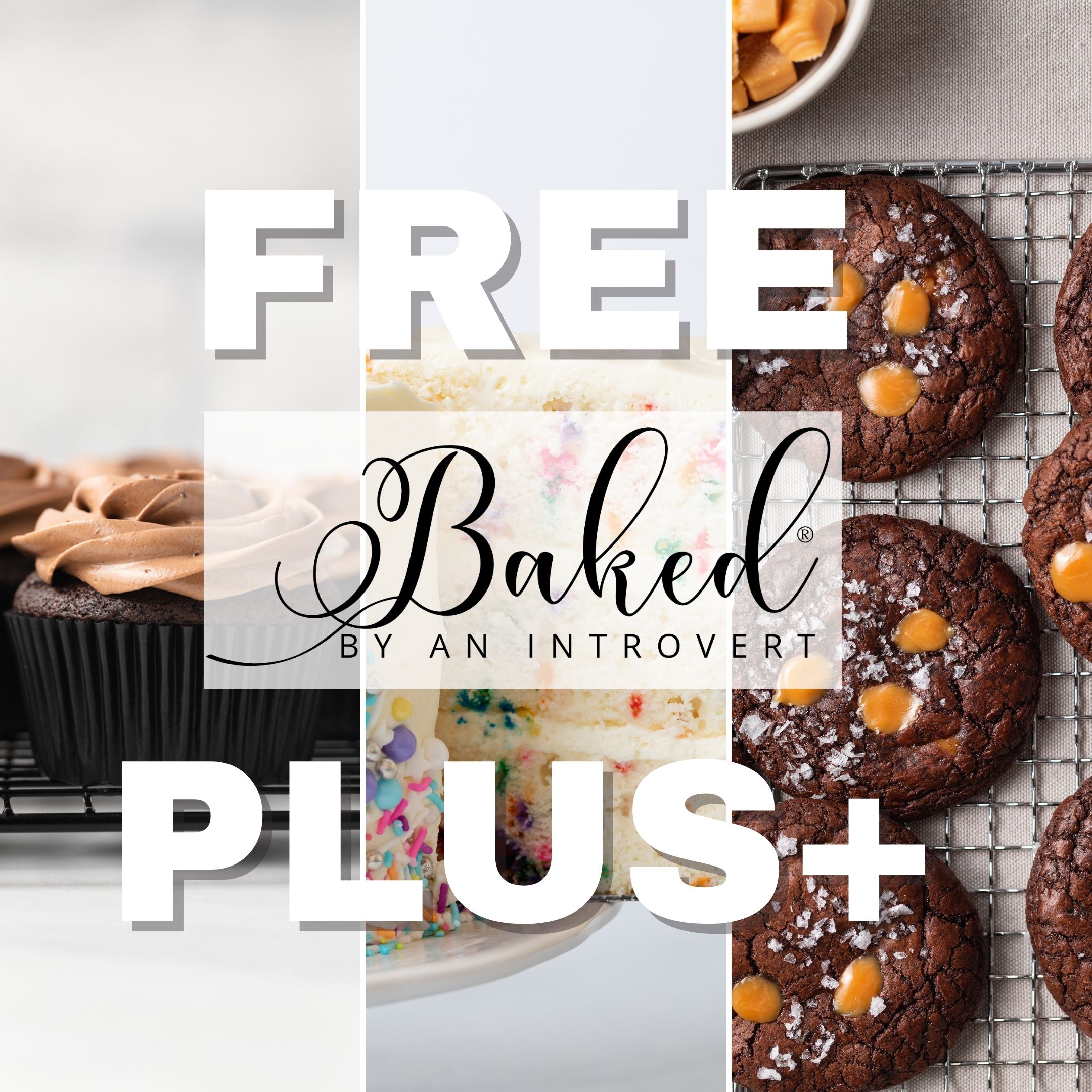 Baked by an Introvert Plus
