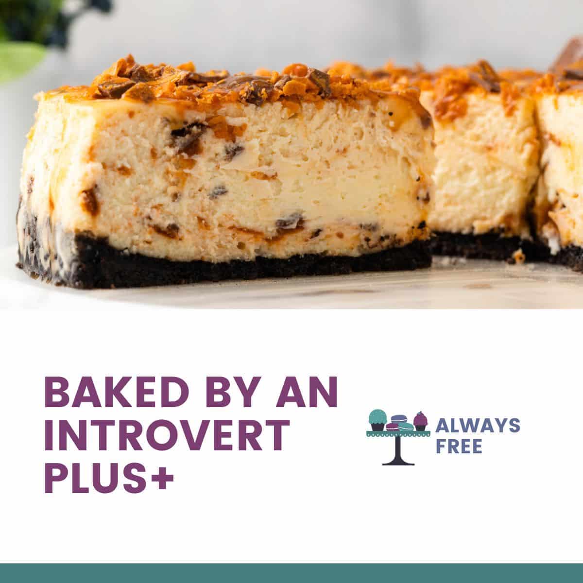 Baked By An Introvert Plus+
