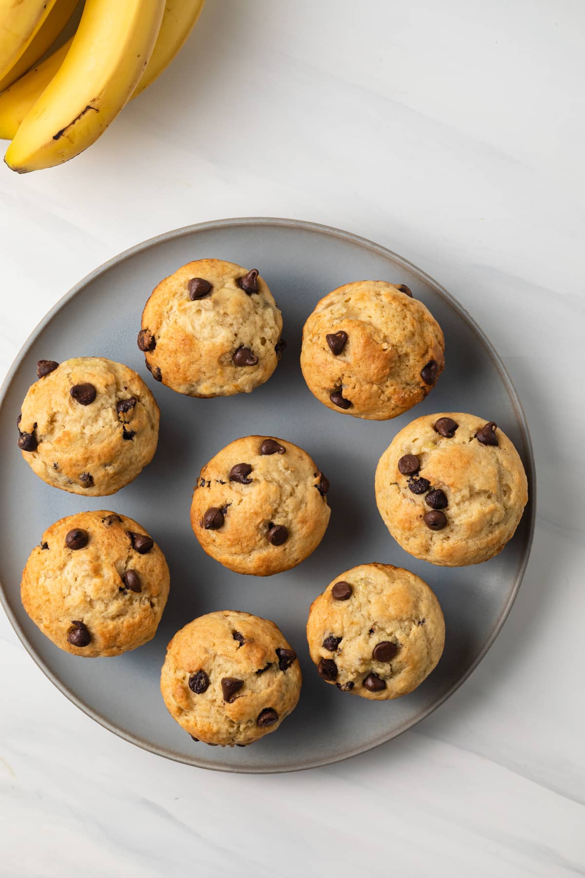 Overhead of banana chocolate chip muffins on blue plate.
