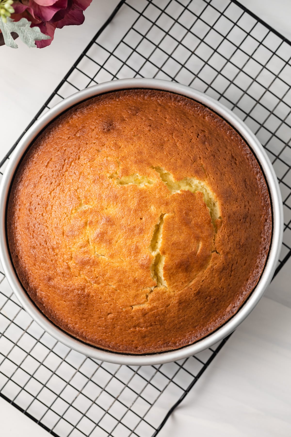 Baked olive oil cake in cake pan.