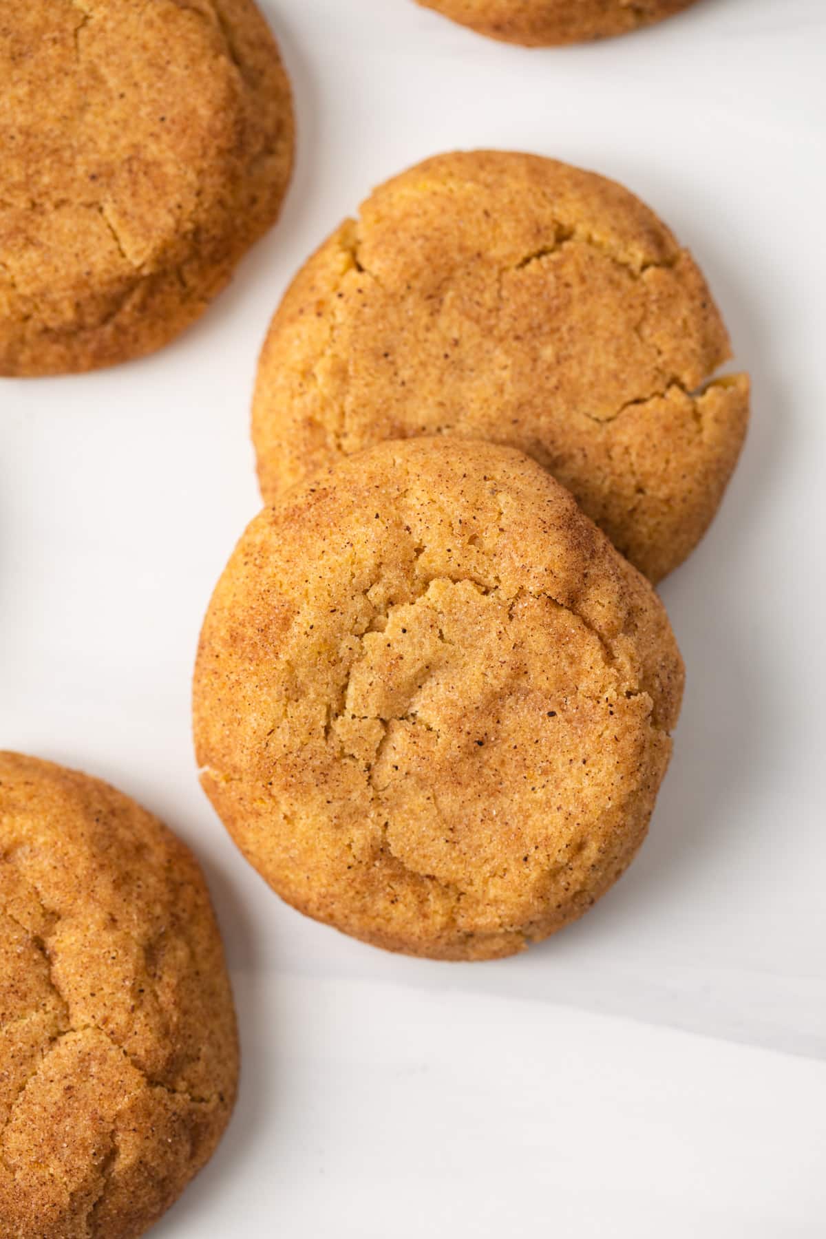 Close up of pumpkin snickerdoodles on white background.