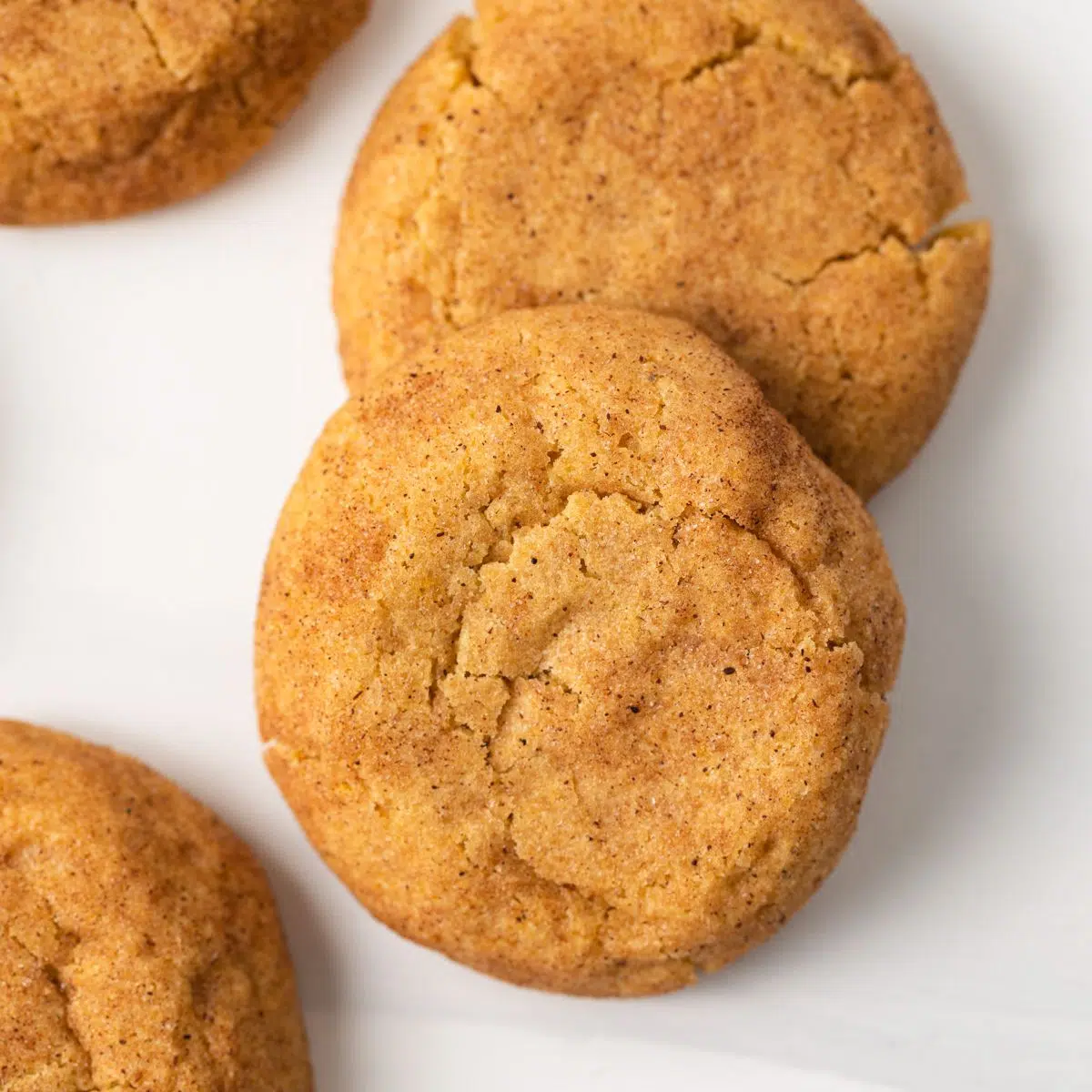 Homemade Pumpkin Snickerdoodles