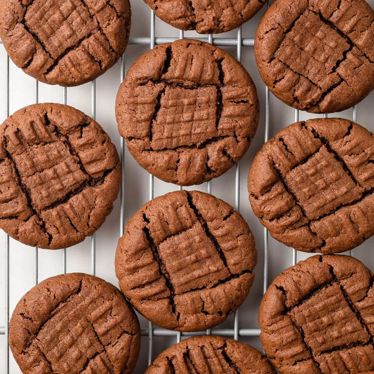 Chocolate Peanut Butter Cookies