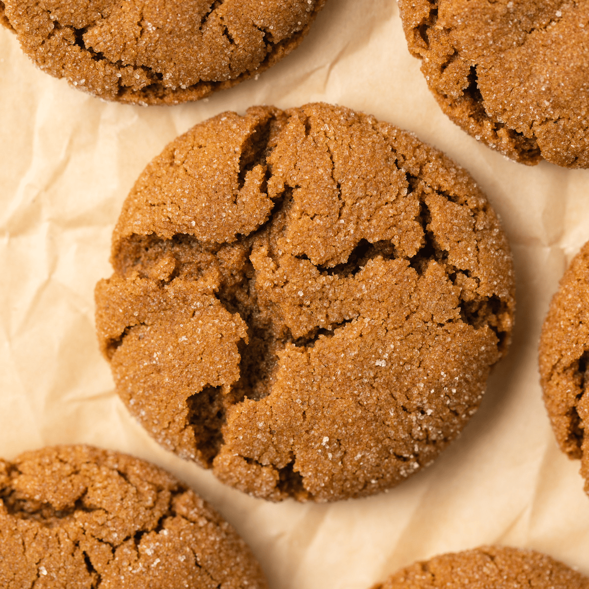 Soft Molasses Cookies