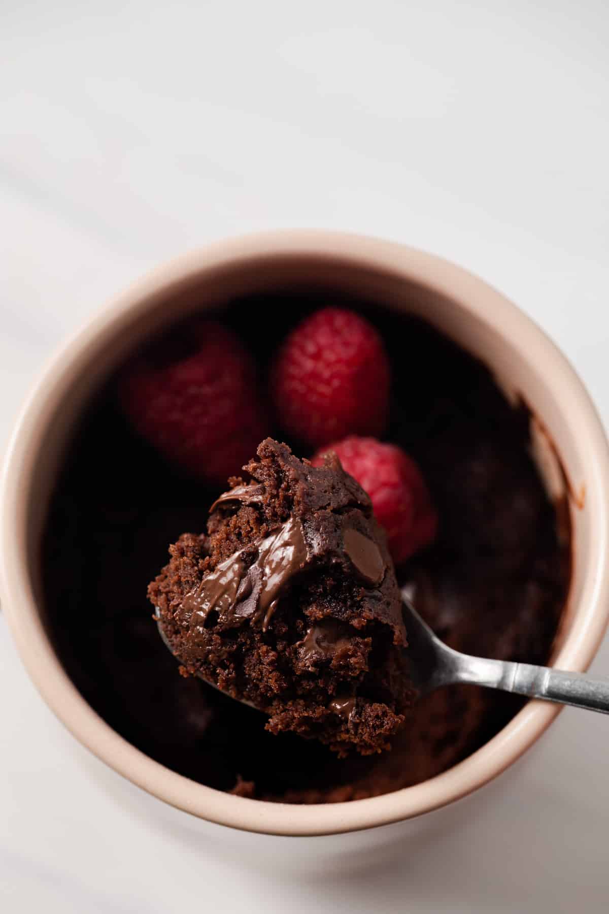 Brownie in a mug with some on a spoon.
