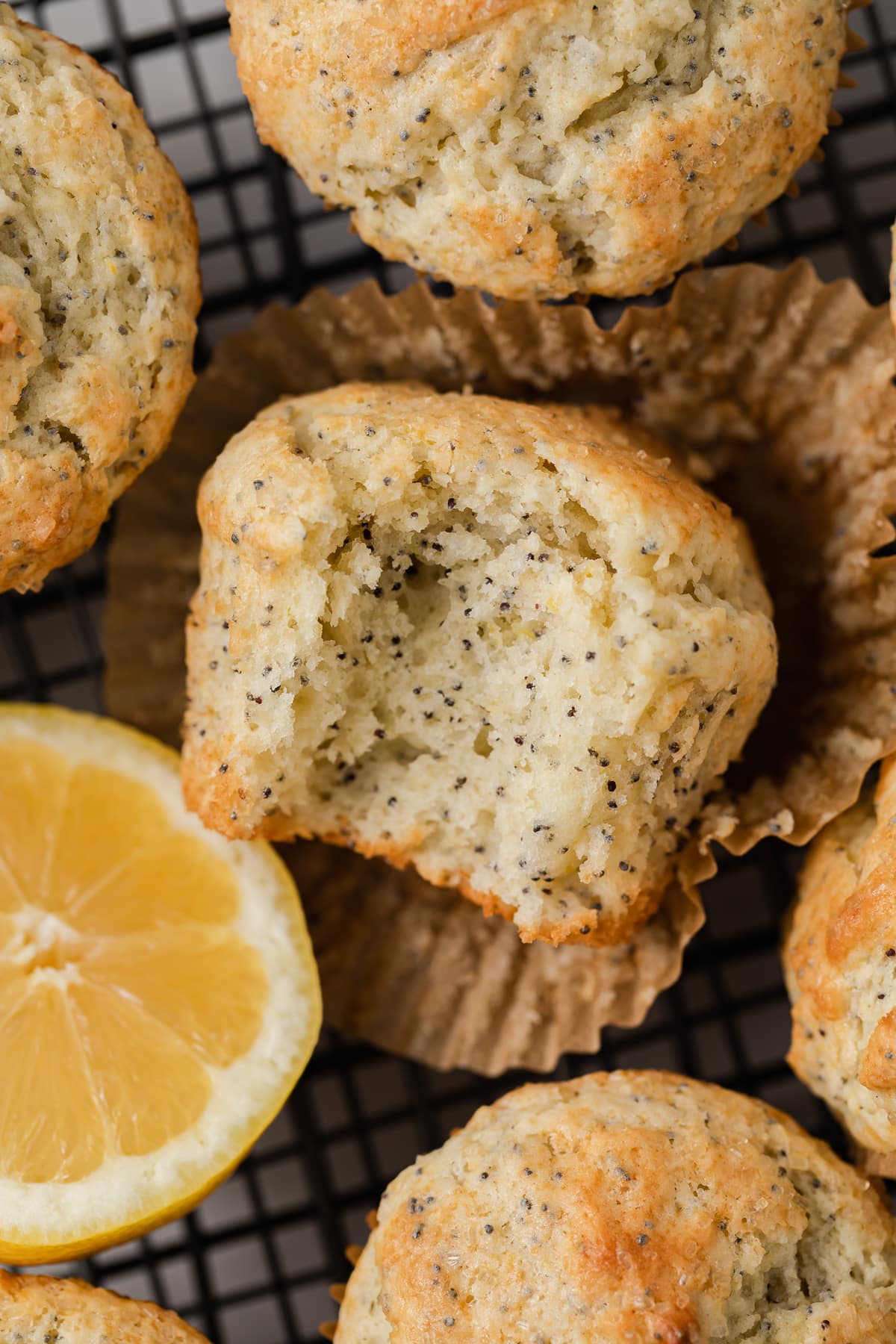 Close up of lemon poppy seed muffin with bite taken out.
