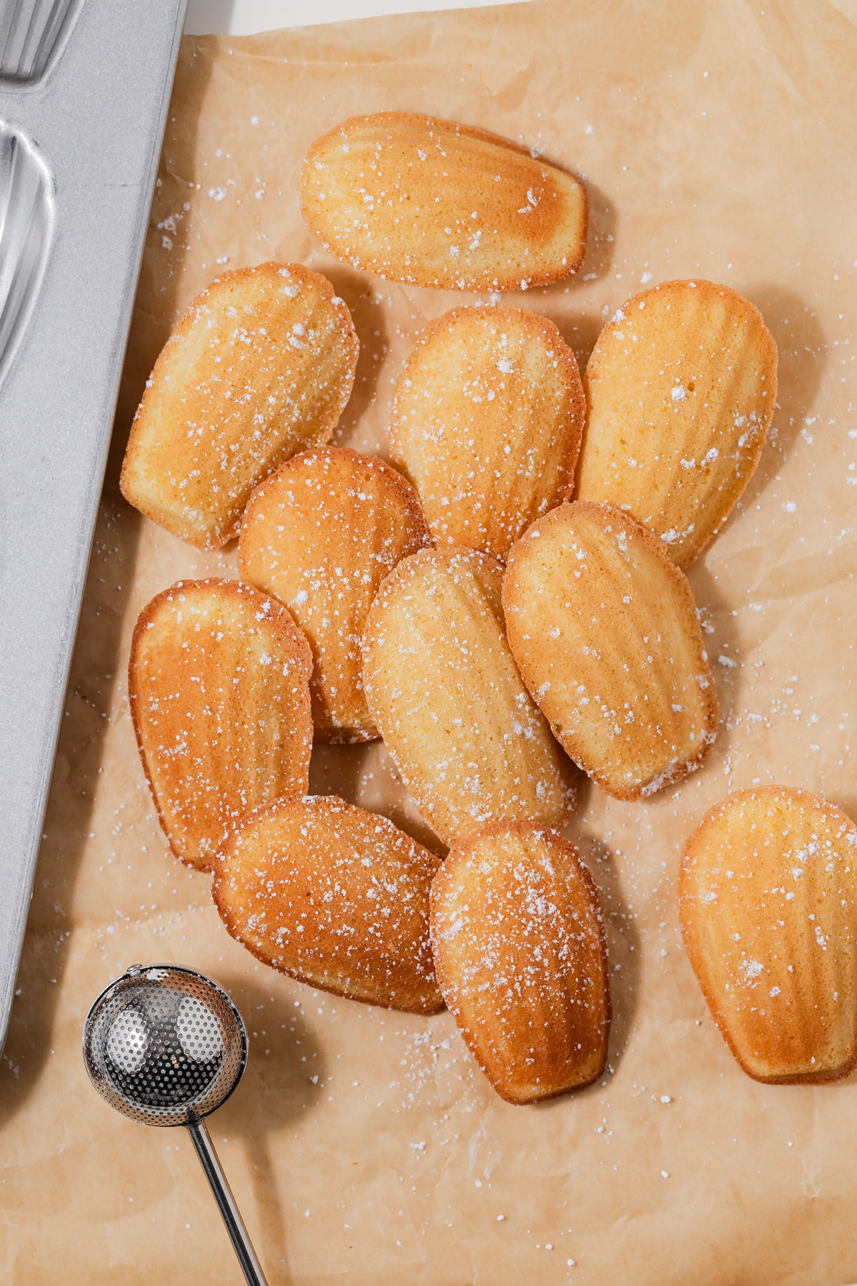 Madeleines scattered on parchment paper.