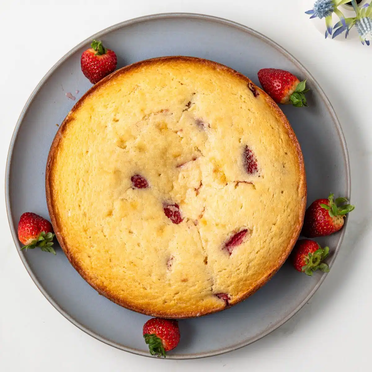 Strawberry ricotta cake on plate.