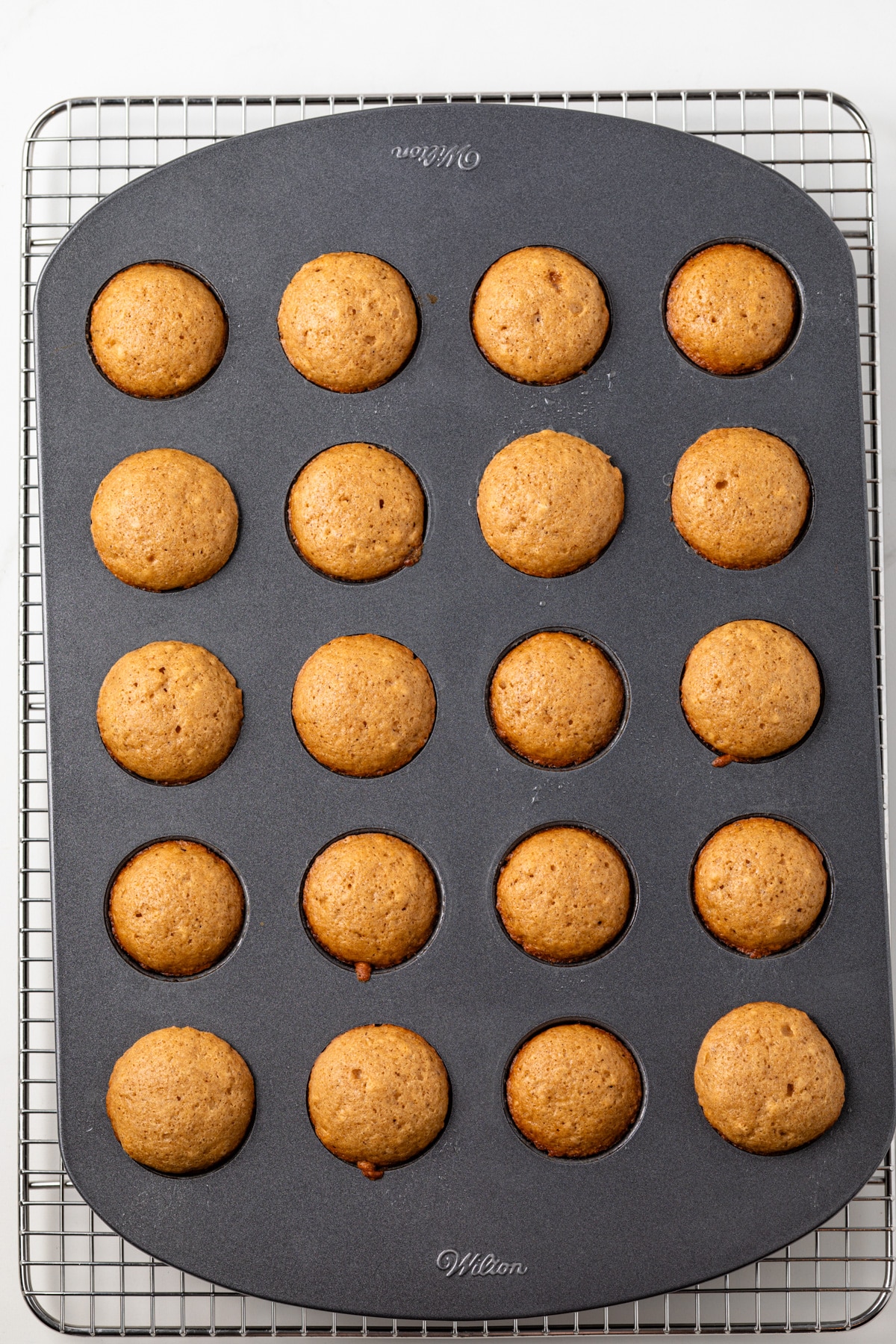 Baked donut holes in donut hole pan.
