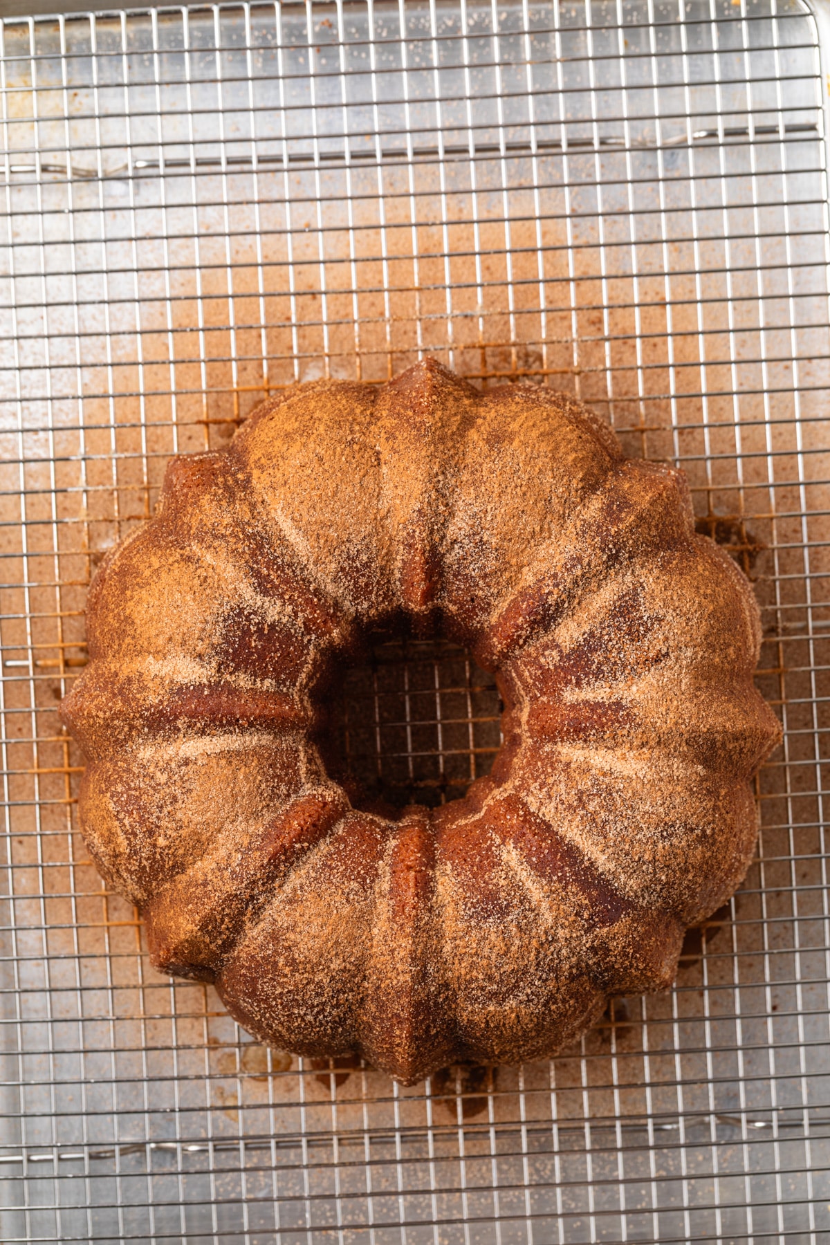 Cinnamon sugar coated bundt cake on wire rack.